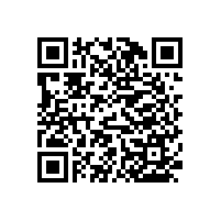 簡(jiǎn)約美觀實(shí)用的小便池扶手都在這里-藍(lán)品盾