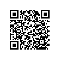 精致小巧又實用~幼兒園衛(wèi)生間蹲坑小扶手{藍品盾}