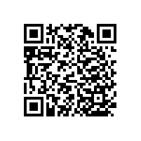 可定制款式的殘位衛(wèi)生間洗手池扶手【藍品盾】