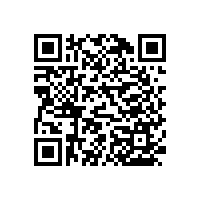 鋁合金成品醫(yī)用扶手，結(jié)構(gòu)穩(wěn)定，穩(wěn)固性強(qiáng)