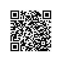 老年廁所扶手設(shè)計(jì)簡(jiǎn)約實(shí)用【藍(lán)品盾】