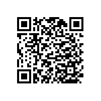 老年人比較推薦--廁所安全扶手