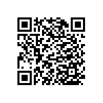 老年人廁所扶手/功能齊全方便借力【藍品盾】