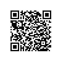 老年人廁所扶手/結(jié)實防潮【藍品盾】