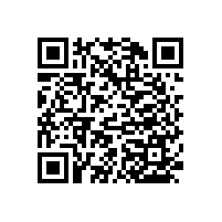 老年人馬桶扶手-設計貼心/顏色百搭【藍品盾】