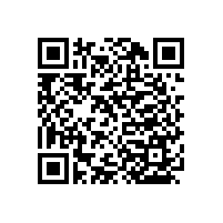 老年人馬桶入廁扶手架-簡(jiǎn)約便利【藍(lán)品盾】