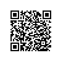 老年人衛(wèi)生間安全扶手防滑嗎？【藍(lán)品盾】