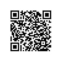 老年人衛(wèi)生間扶手方便牢固！【藍(lán)品盾】