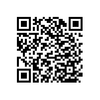 老年人衛(wèi)生間扶手款式簡約安全【藍(lán)品盾】