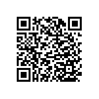 老年人衛(wèi)生間扶手【藍品盾】款式新穎 功能多樣