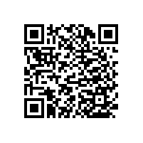 老年人衛(wèi)生間浴缸扶手哪種款式好?