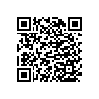 老年衛(wèi)生間折疊扶手能起到加固的作用【藍(lán)品盾】