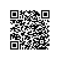 老年衛(wèi)浴扶手舒適的尼龍材質(zhì)！！【藍(lán)品盾】