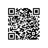 老年醫(yī)院衛(wèi)生間扶手浴室必備的多功能款式【藍(lán)品盾】