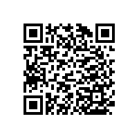 【藍品盾】不銹鋼無障礙小便池扶手