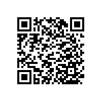 藍品盾便于老人的廁所扶手有哪些款式呢