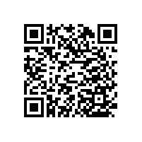 【藍(lán)品盾】殘疾人衛(wèi)生間馬桶扶手要多少錢？