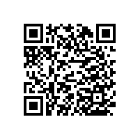 藍(lán)品盾殘疾人無障礙馬桶扶手多少錢？