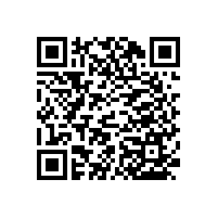 藍(lán)品盾殘疾人行走扶手架走道扶手款式