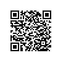 藍(lán)品盾殘疾人坐便器扶手款式大集合