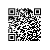 藍品盾靠墻無障礙扶手豪華又美觀