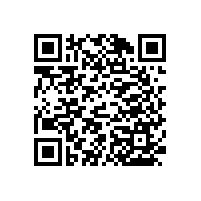 藍品盾老年衛(wèi)浴扶手浴室安全防跌倒