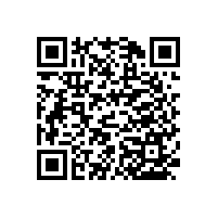 【藍品盾】馬桶扶手衛(wèi)生間扶手-簡約實惠款&豪華款