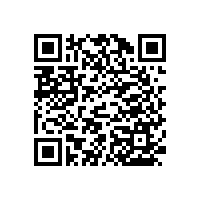 【藍(lán)品盾】適合安裝在公廁的殘疾人衛(wèi)生間安全扶手