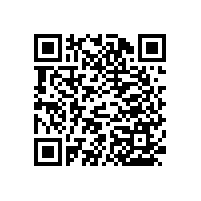 藍品盾衛(wèi)生間蹲便扶手-生產(chǎn)廠家支持上門安裝