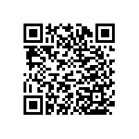 藍品盾衛(wèi)生間無障礙輔助扶手常用款式