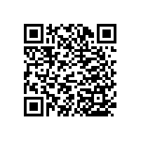 藍品盾~衛(wèi)生間浴室扶手-安全實用都要做到