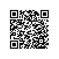 藍品盾新品--帶紙巾盒衛(wèi)浴扶手