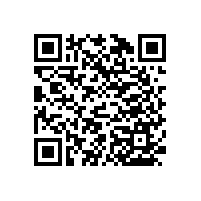 藍品盾養(yǎng)老院衛(wèi)生間扶手-款多可訂做