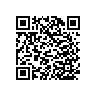 【藍(lán)品盾】之新款的殘疾人無障礙通道扶手