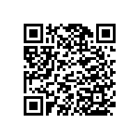 老人安全衛(wèi)生間扶手省空間的小妙招【藍(lán)品盾】