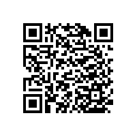 老人床邊扶手什么材質(zhì)？【藍品盾】