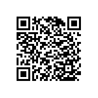 老人/殘疾人無障礙上翻折疊馬桶扶手