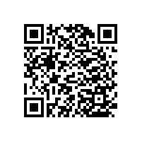 老人廁所扶手/不易腐蝕【藍品盾】