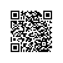 老人廁所扶手-設(shè)計(jì)簡(jiǎn)單/多色搭配【藍(lán)品盾】