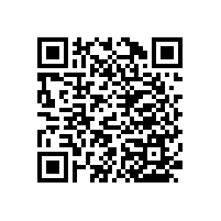 老人衛(wèi)生間安全扶手帶置物架更實用【藍品盾】