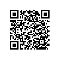 老人衛(wèi)生間扶手架-老人也需要關(guān)愛【藍(lán)品盾】