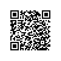 老人浴室扶手-設(shè)計貼心不占空間【藍(lán)品盾】