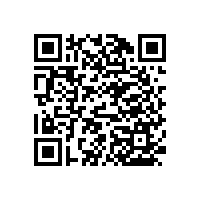 L型衛(wèi)浴扶手-定制尺寸 裝哪兒都行【藍品盾】