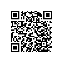 免安裝馬桶扶手架的優(yōu)點【藍品盾】