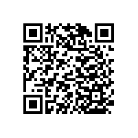 美觀，新穎的衛(wèi)生間馬桶扶手怎么安裝【藍(lán)品盾】