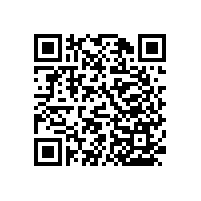 母親節(jié)貼心的禮物-無障礙扶手【藍品盾】