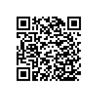 馬桶安全扶手的“款式”【藍(lán)品盾】