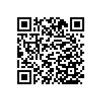 馬桶邊扶手-貼心可訂制【藍品盾】