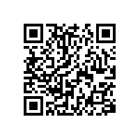 馬桶扶手衛(wèi)生間扶手多功能的款式【藍(lán)品盾】