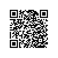 馬桶扶手衛(wèi)生間扶手還有長(zhǎng)的樣的？【藍(lán)品盾】